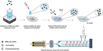 Processing of Sr2+ Containing Poly L-Lactic Acid-Based Hybrid Composites for Additive Manufacturing of Bone Scaffolds